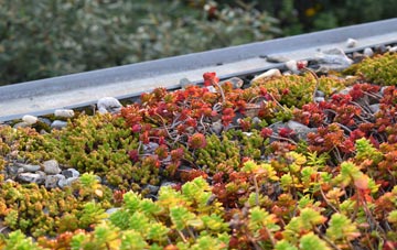 the cost of Cherry Willingham green roof installation
